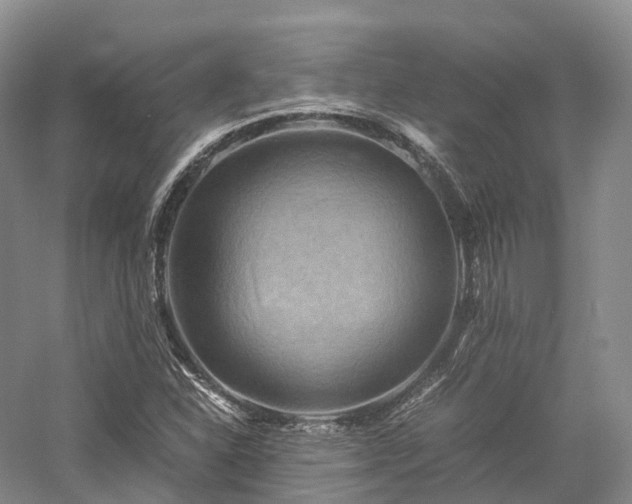 X0000058131310200509231108