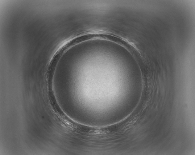 X0000058131311200509231108