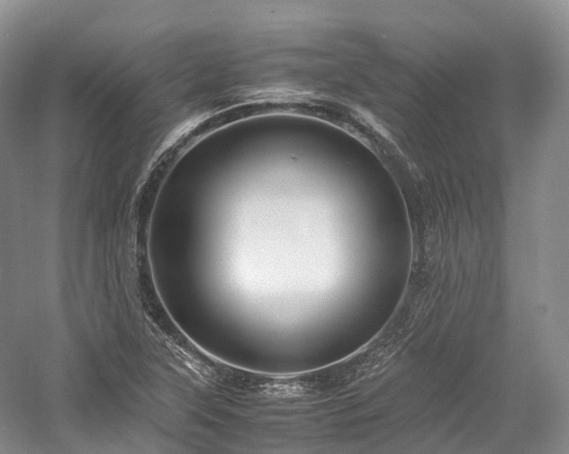 X0000058131315200509231108