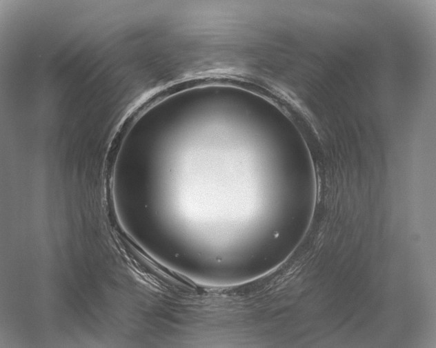 X0000058131316200509231108