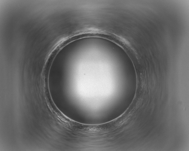 X0000058131318200509231108