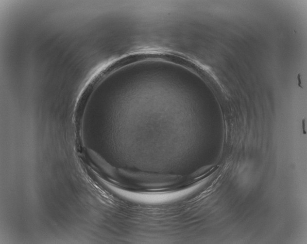 X0000058131319200509231108