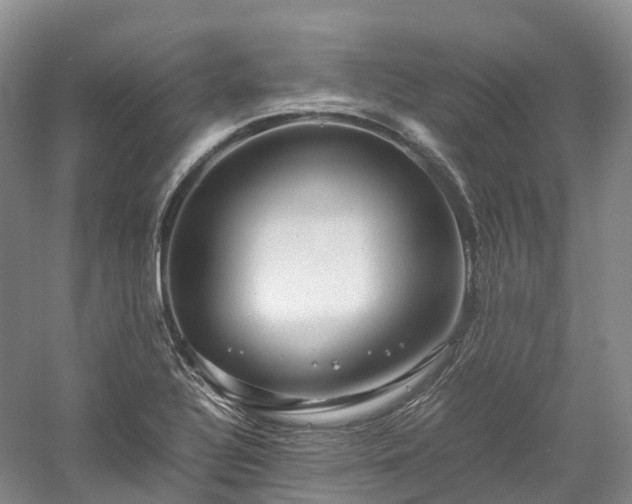 X0000058131320200509231108