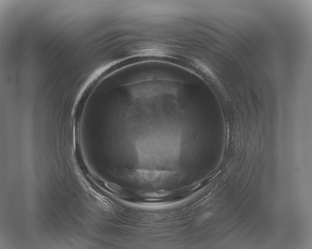 X0000058131323200509231108