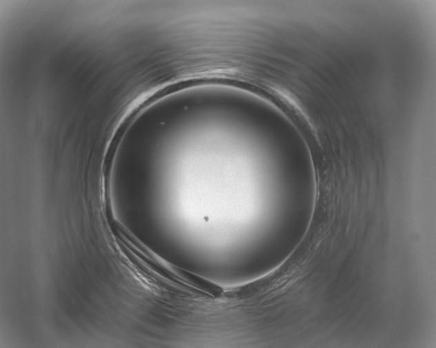 X0000058131324200509231108