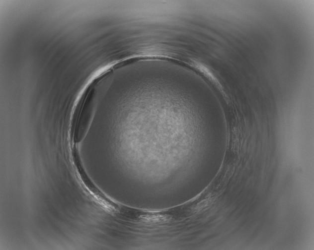 X0000058131331200509231108
