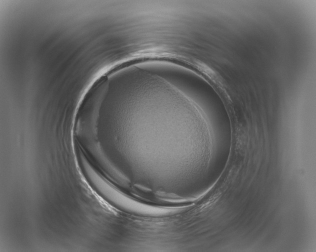 X0000058131334200509231108