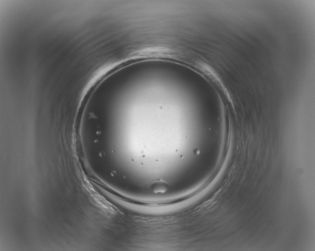 X0000058131336200509231108