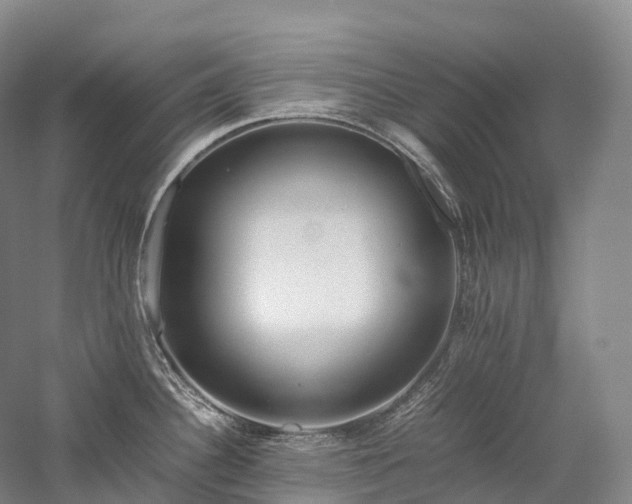 X0000058131340200509231109