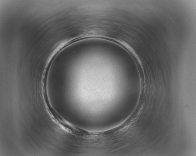 X0000058131341200509231109