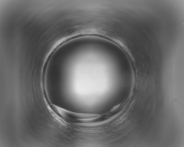 X0000058131342200509231109