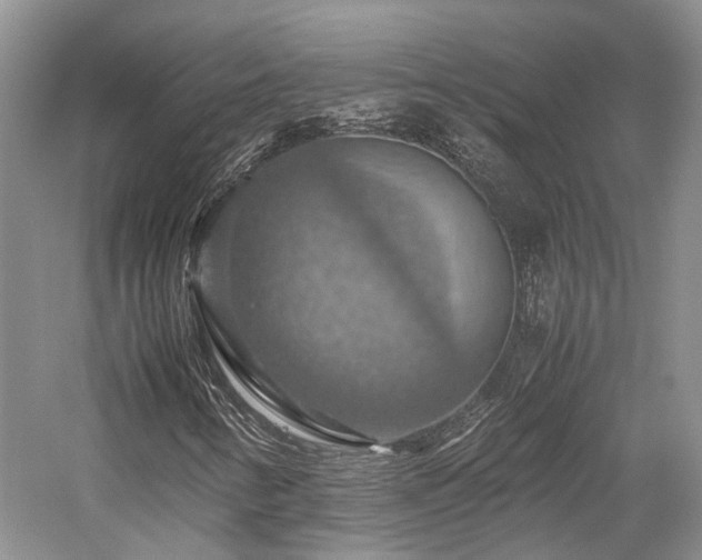 X0000058131346200509231108