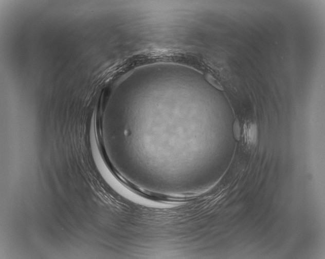 X0000058131348200509231108