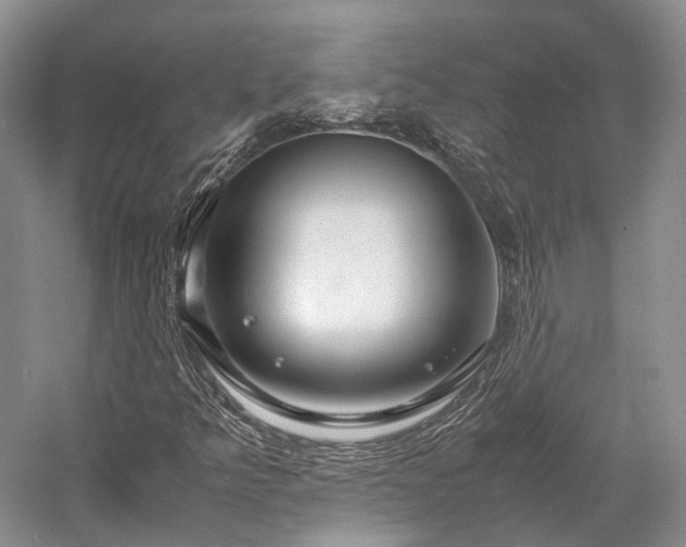 X0000058131349200509231108