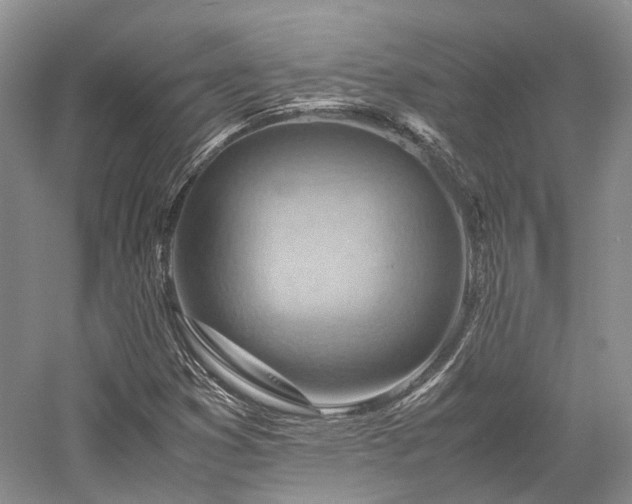X0000058131353200509231108