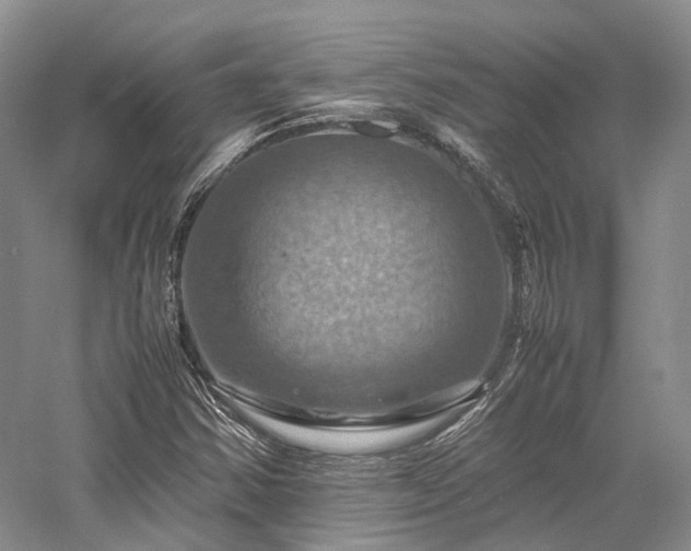 X0000058131354200509231108
