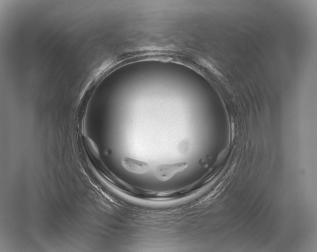 X0000058131357200509231108