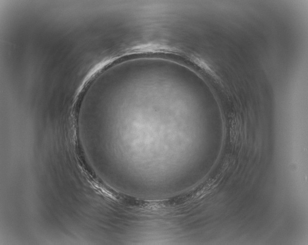 X0000058131358200509231108