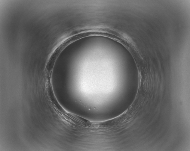 X0000058131360200509231107