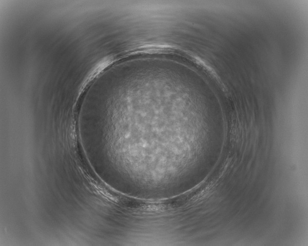 X0000058131362200509231107
