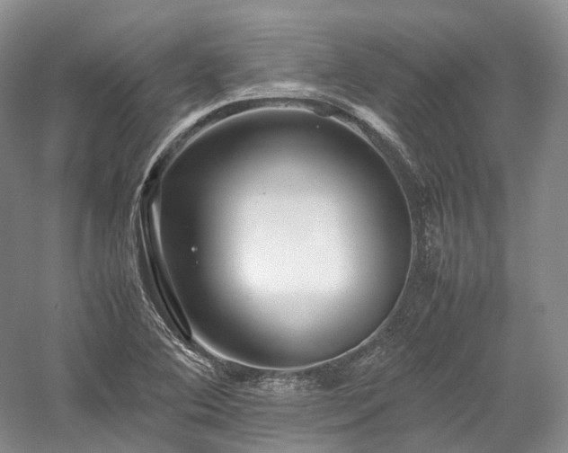 X0000058131364200509231107