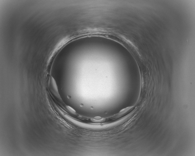 X0000058131365200509231107