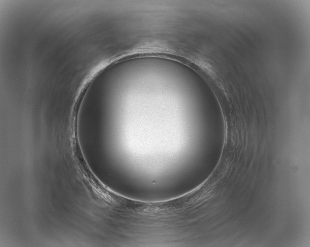 X0000058131366200509231107