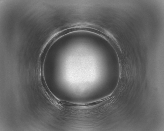 X0000058131368200509231107