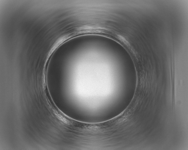X0000058131370200509231107