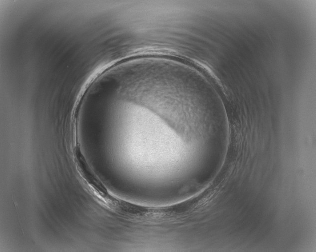 X0000058131371200509231107