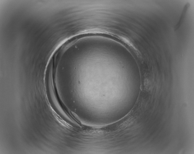 X0000058131372200509231107