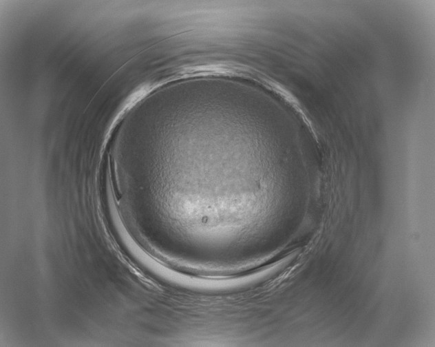 X0000058131373200509231107
