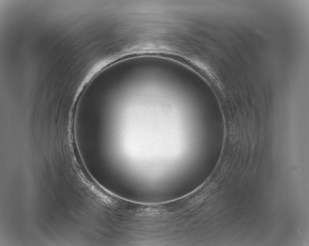 X0000058131374200509231107