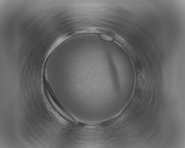 X0000058131378200509231107