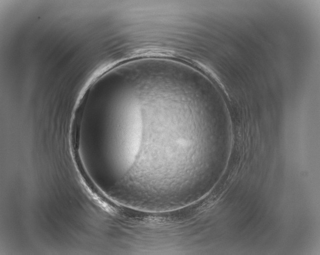 X0000058131379200509231107