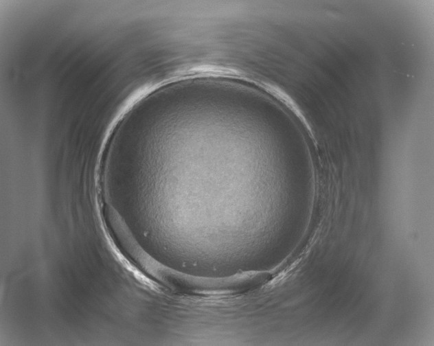 X0000058131381200509231107