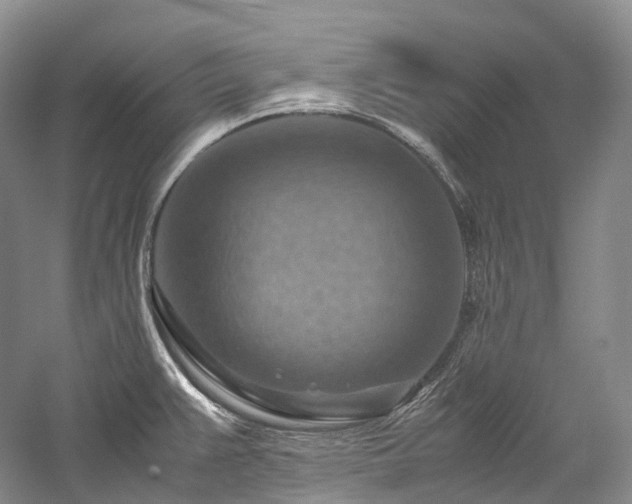 X0000058131383200509231107