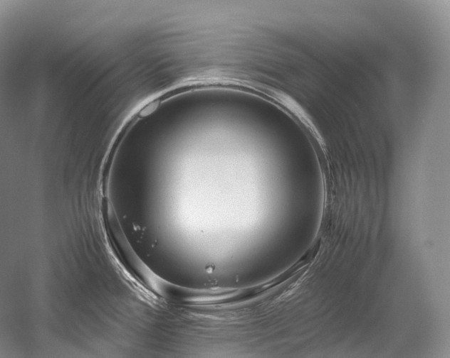 X0000058131388200509231107