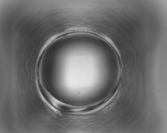 X0000058131389200509231107