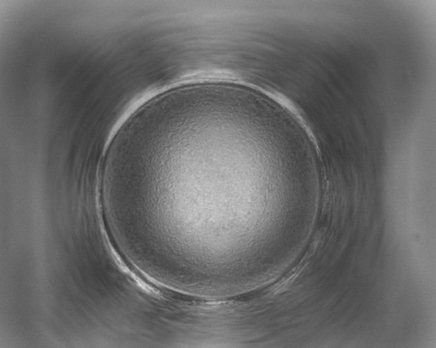X0000058131390200509231107
