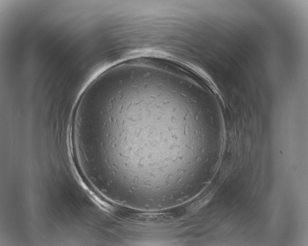 X0000058131391200509231107