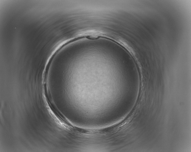 X0000058131392200509231107