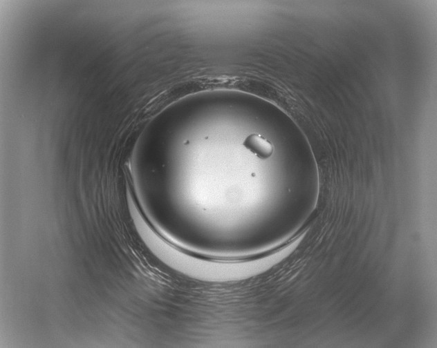 X0000058131394200509231106