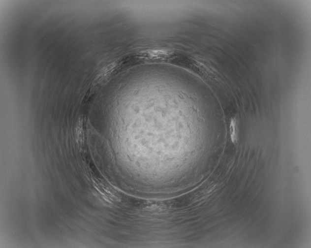 X0000058131395200509231106