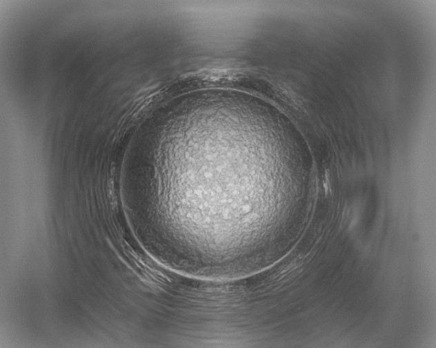 X0000058131396200509231106