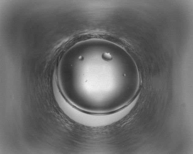 X0000058131398200509231106