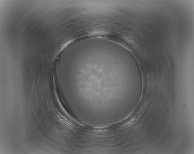 X0000058131401200509231106