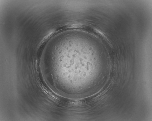X0000058131403200509231106