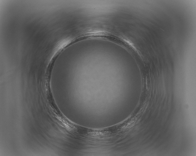 X0000058131405200509231106
