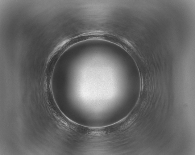 X0000058131406200509231106